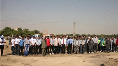 غرس 500 شجرة بجامعة جنوب الوادي 