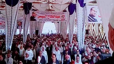 مؤتمر جماهيري لدعم السيسي بأبو المطامير (صور)