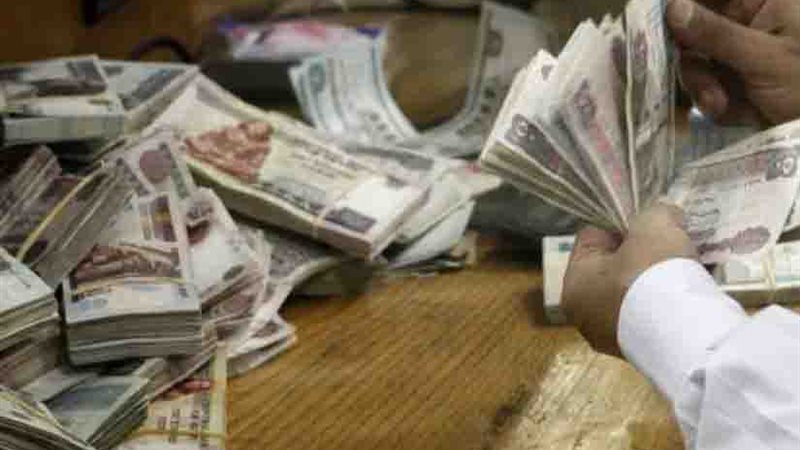 المشدد 5 سنوات لمحافظ