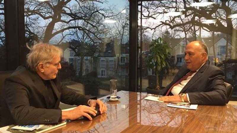 شكري يبحث تطورات