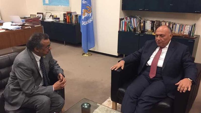 شكري يلتقي في جنيف