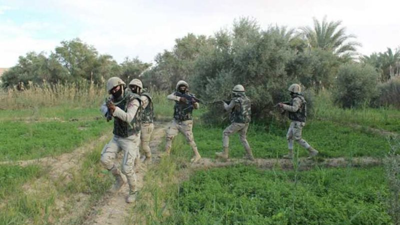 بالصور والأرقام..