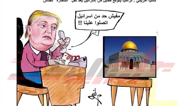 السمنة والنملة