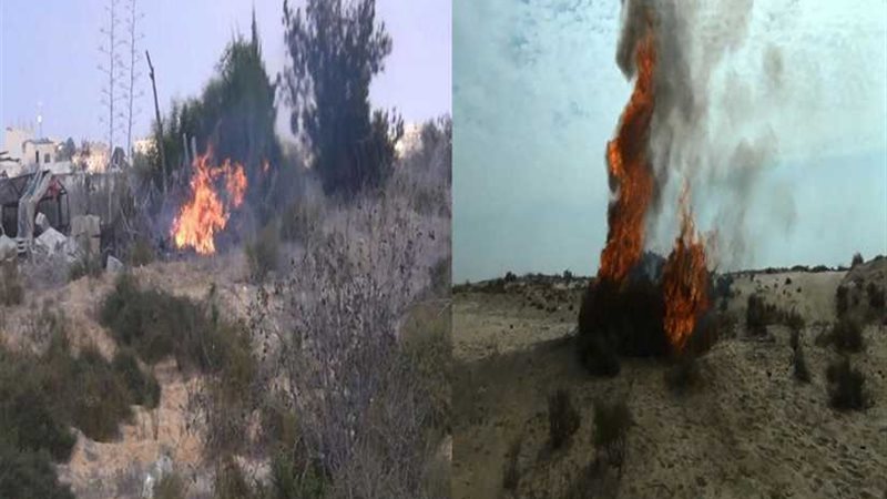 قائد قوات الدفاع