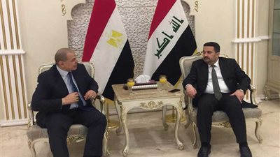 سعفان يبحث مع وزير عمل العراق الرواتب التقاعدية المتأخرة للمصريين