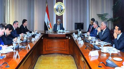 قابيل: 55% زيادة في حركة التجارة بين مصر وروسيا