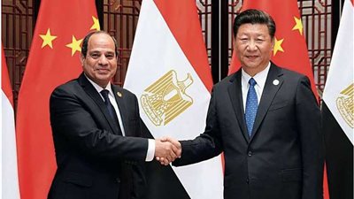 دور السلطة التشريعية فى مصر والصين