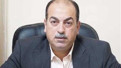 برلماني: حريصون على زيادة المعاشات بالتشريع والموازنة