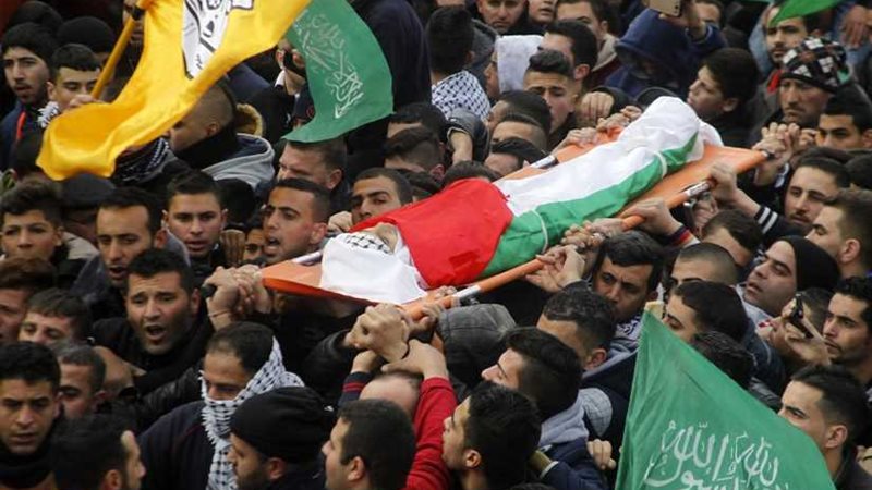 منظمة التحرير: 8