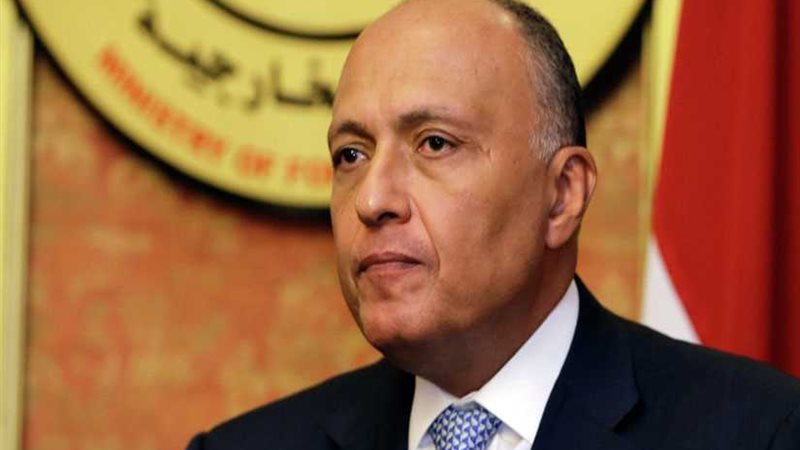 وزير الخارجية يلتقي