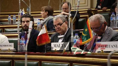 عضو البرلمان النمساوي: يجب متابعة الرسائل ذات المحتوى المتطرف بالإنترنت