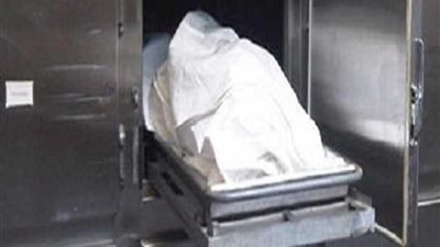مزاح أدى للقتل.. عاطل يطعن زميله بالمنوفية
