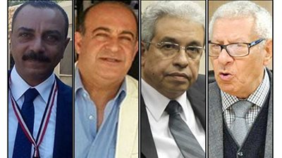 مفكرون وبرلمانيون: 