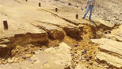 البيئة : لا خسائر في المناطق ذات الحساسية البيئية بمحمية 