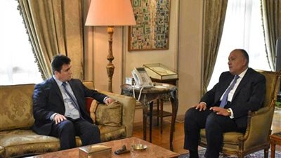 تفاصيل لقاء وزير الخارجية مع نظيرة الأوكراني