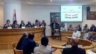 مفكرون سودانيون: شعب مصر والسودان شعب واحد تاريخا ومستقبلا