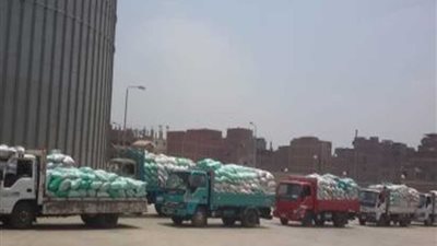 تموين المنيا: توريد 101 ألف طن قمح