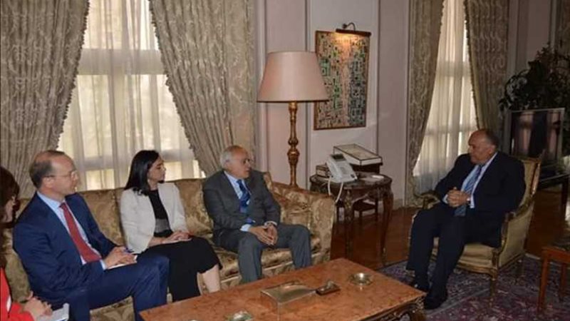 شكري يبحث مستجدات