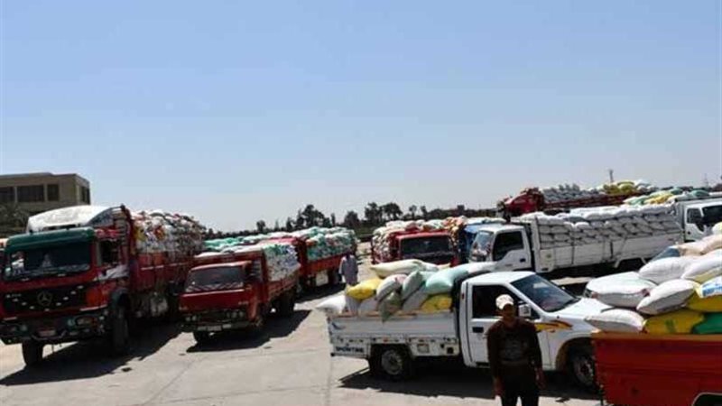 توريد 139 ألف طن