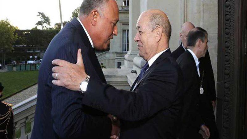 شكري ونظيره الفرنسي