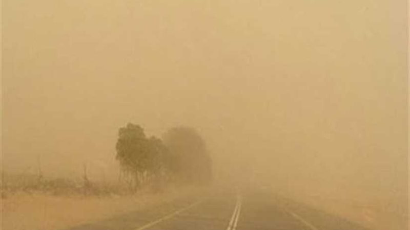 الفرافرة بالوادي