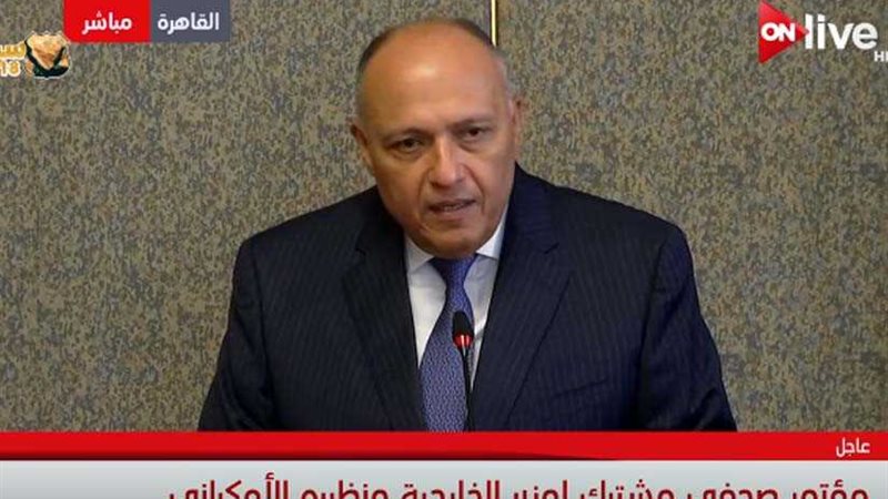 سامح شكري: جهودنا