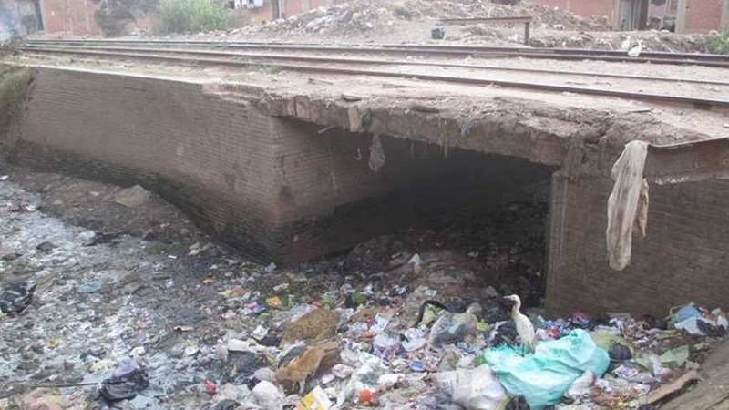 المنوفية.. بوادر