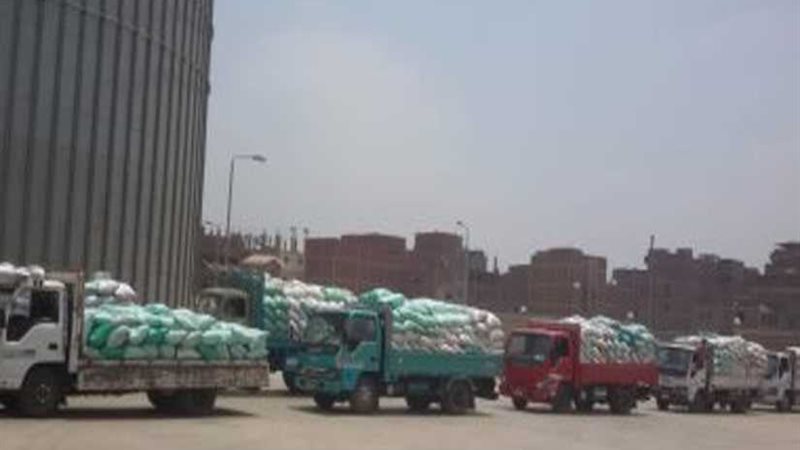 تموين المنيا: توريد