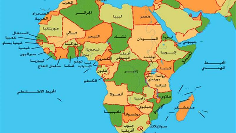 ألبا تكشف عن الفيروسات