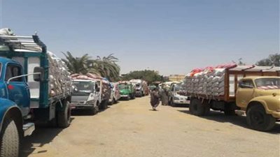 محافظ أسيوط: توريد 30 ألفًا و252 طن قمح
