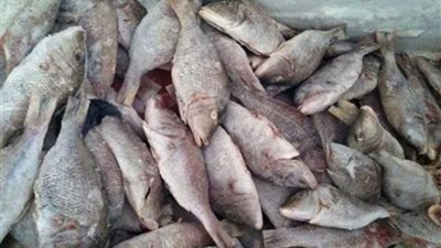 تحرير 210 مخالفات تموينية وضبط طن لحوم وأسماك غير صالحة خلال عدة حملات بأسيوط