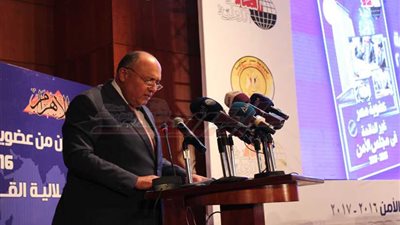 شكري: مصر اتبعت نهج استقلالية القرار ومصداقية المواقف خلال عضويتها بمجلس الأمن