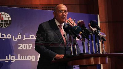 وزير الخارجية يؤكد استقلالية القرار المصري