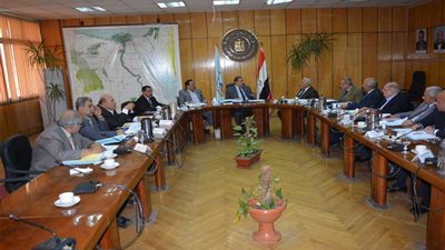 مليون جنيه إعانات لـ 1131 عاملا بـجامعة سيناء وفلورا (صور)