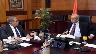 وزير المالية: بعثة صندوق النقد الدولي في مصر الأحد المقبل