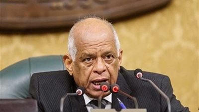 برلماني يعلن موافقة مجلس النواب على إنشاء كلية العلوم الصحراوية بالمنيا