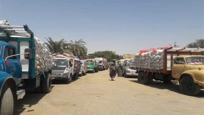 محافظ أسيوط: توريد