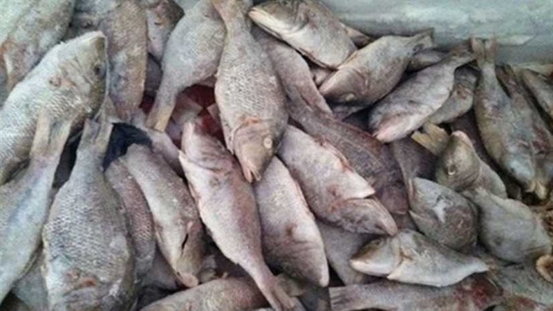 تحرير 210 مخالفات