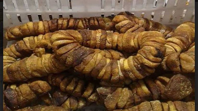 ضبط 13طن تين مجفف