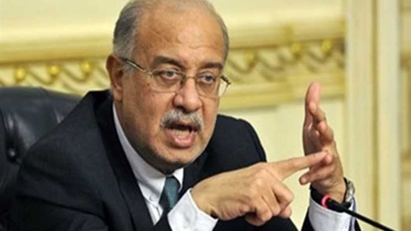 إسماعيل يلتقي وزير