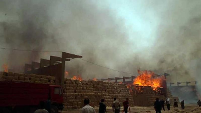 الأدلة الجنائية تكشف