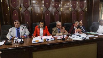 وزيرة التخطيط: نستهدف 850 ألف فرصة عمل العام المالي المقبل