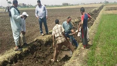 مكافحة القوارض للمحاصيل.. 