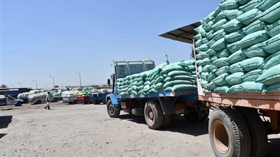 توريد 215 ألف طن لشون وصوامع البحيرة