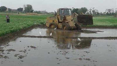 بالصور.. إزالة 6 مشاتل أرز مخالفة بمشتهر