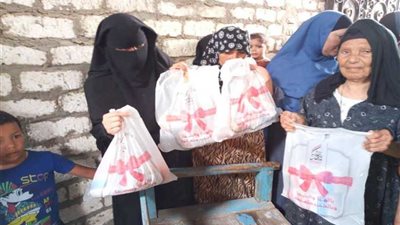 صندوق تحيا مصر يعلن قرية جاويش 