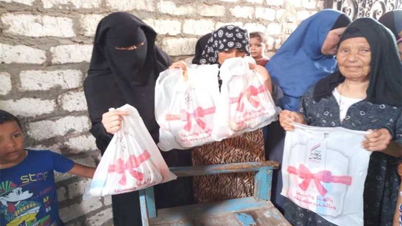 صندوق تحيا مصر: قرية