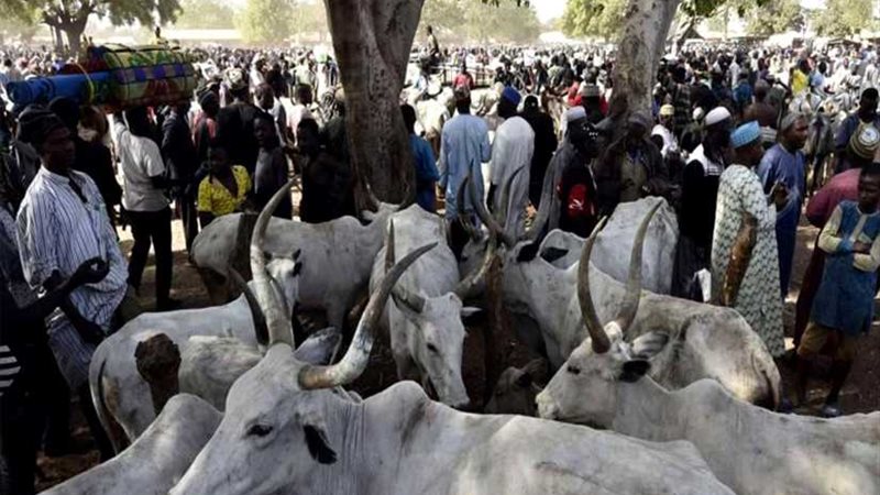 مقتل العشرات بسبب