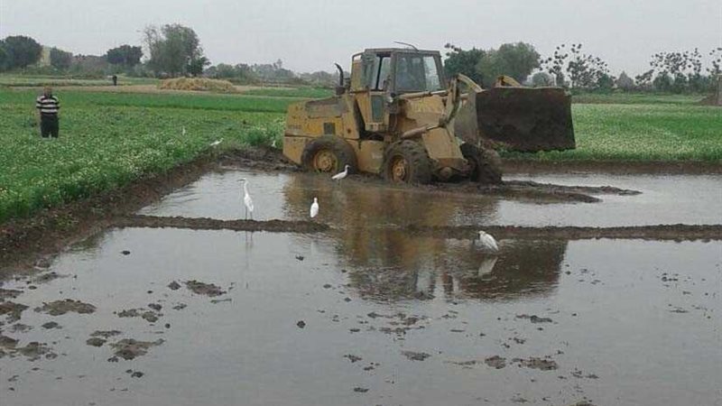 بالصور.. إزالة 6