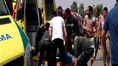 إصابة عامل بارتجاج في المخ.. صدمه قطار بميت سلسيل